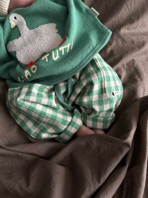 ROMEO PANTS | BASIL CHECK