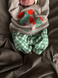 ROMEO PANTS | BASIL CHECK