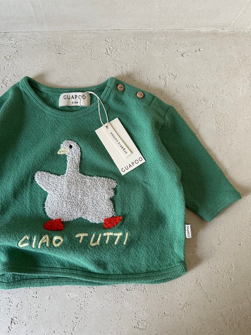 GOOSE SHIRT BASIL GREEN