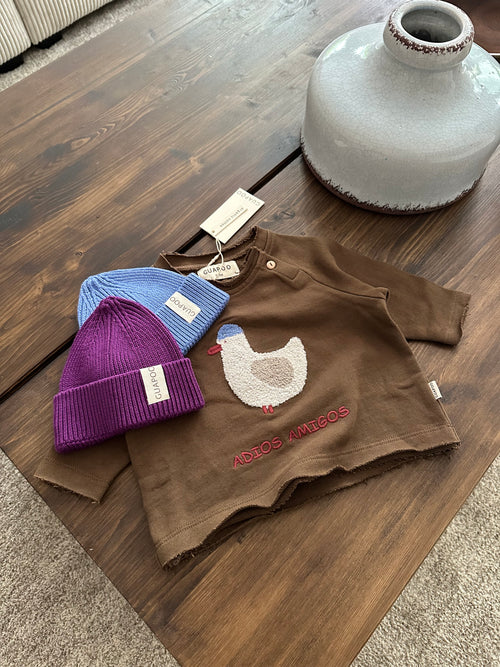 ADIOS AMIGOS SWEATER BROWN