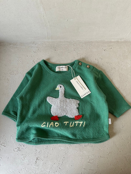 GOOSE SHIRT BASIL GREEN