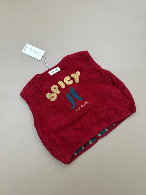 REVERSIBLE FLEECE VEST RED