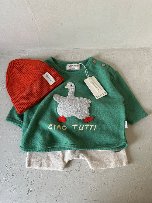 GOOSE SHIRT BASIL GREEN