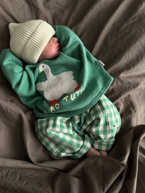 ROMEO PANTS | BASIL CHECK