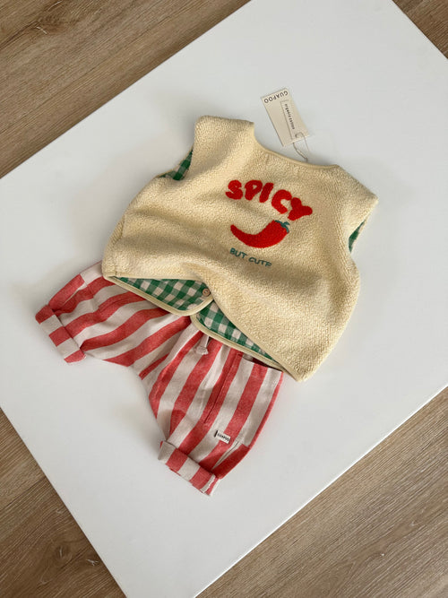 ROMEO PANTS | SPICY STRIPES