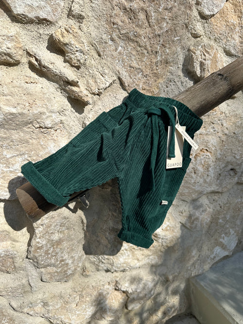 CORDUROY PANTS | PINE